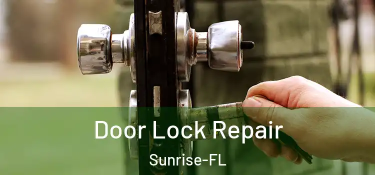 Door Lock Repair Sunrise-FL