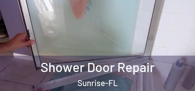 Shower Door Repair Sunrise-FL